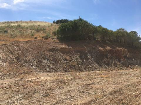 Terreno Rustico em Pisa Barro de Cima
