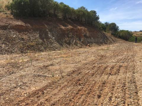 Terreno Rustico em Pisa Barro de Cima