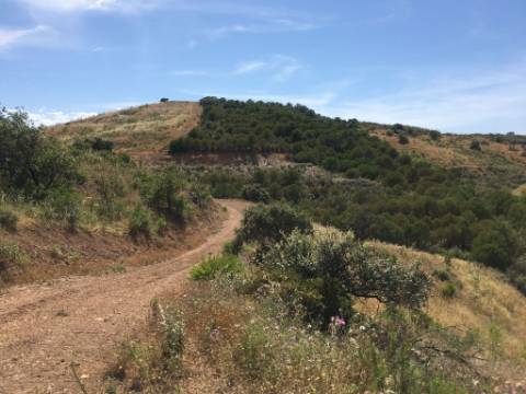 Terreno Rustico em Pisa Barro de Cima