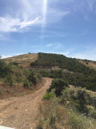 Terreno Rustico em Pisa Barro de Cima