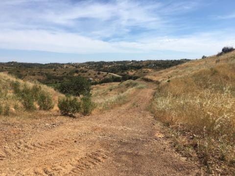 Terreno Rustico em Pisa Barro de Cima