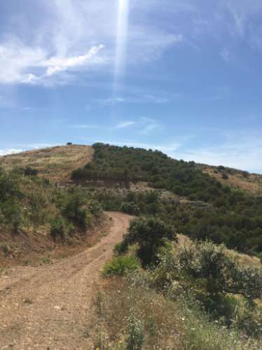 Terreno Rustico em Pisa Barro de Cima