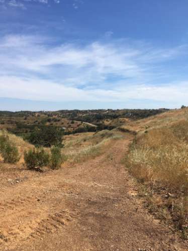 Terreno Rustico em Pisa Barro de Cima