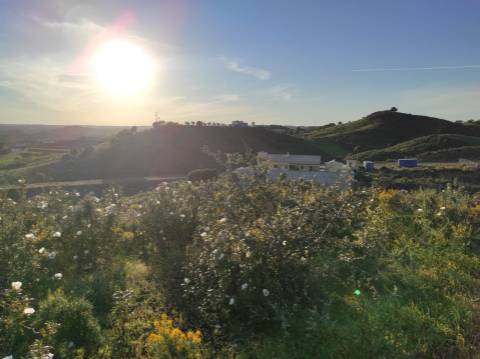 TERRENO RÚSTICO COM 2.920 M2 - ELECTRICIDADE - COM ÁRVORES - MATOS - CASTRO MARIM - ALGARVE