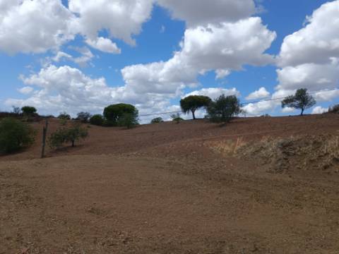 TERRENO RÚSTICO COM 2.920 M2 - ELECTRICIDADE - COM ÁRVORES - MATOS - CASTRO MARIM - ALGARVE