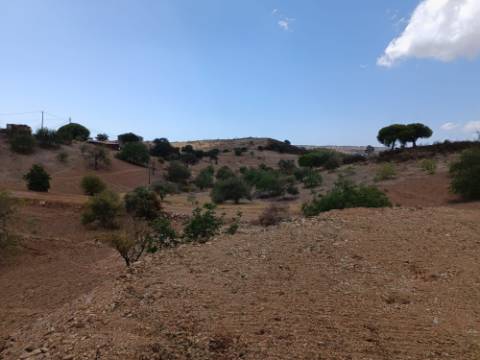 TERRENO RÚSTICO COM 2.920 M2 - ELECTRICIDADE - COM ÁRVORES - MATOS - CASTRO MARIM - ALGARVE