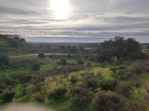 TERRENO RÚSTICO COM 2.920 M2 - ELECTRICIDADE - COM ÁRVORES - MATOS - CASTRO MARIM - ALGARVE