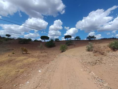 TERRENO RÚSTICO COM 2.920 M2 - ELECTRICIDADE - COM ÁRVORES - MATOS - CASTRO MARIM - ALGARVE