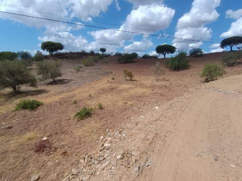 TERRENO RÚSTICO COM 2.920 M2 - ELECTRICIDADE - COM ÁRVORES - MATOS - CASTRO MARIM - ALGARVE