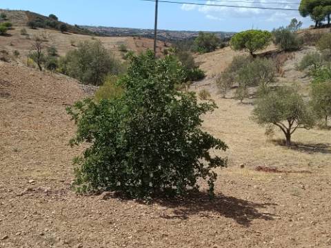 TERRENO RÚSTICO COM 2.920 M2 - ELECTRICIDADE - COM ÁRVORES - MATOS - CASTRO MARIM - ALGARVE