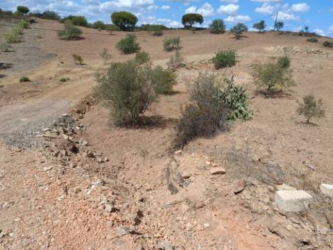 TERRENO RÚSTICO COM 2.920 M2 - ELECTRICIDADE - COM ÁRVORES - MATOS - CASTRO MARIM - ALGARVE