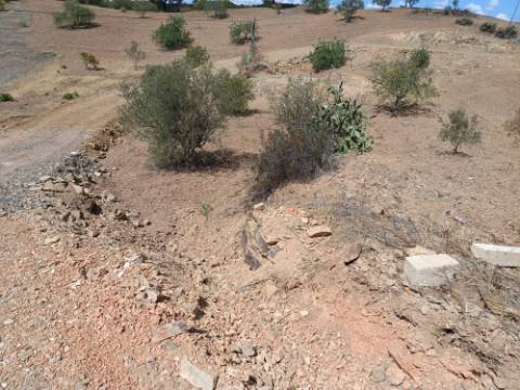 TERRENO RÚSTICO COM 2.920 M2 - ELECTRICIDADE - COM ÁRVORES - MATOS - CASTRO MARIM - ALGARVE