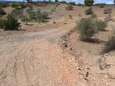 TERRENO RÚSTICO COM 2.920 M2 - ELECTRICIDADE - COM ÁRVORES - MATOS - CASTRO MARIM - ALGARVE