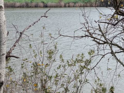 TERRENO RUSTICO COM 2.000 M2 - JUNTO AO RIO GUADIANA - EM ALCOUTIM - ALGARVE