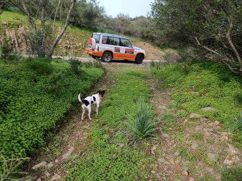 TERRENO RUSTICO COM 2.000 M2 - JUNTO AO RIO GUADIANA - EM ALCOUTIM - ALGARVE
