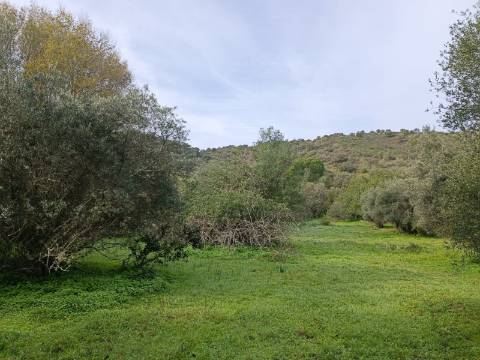 TERRENO RUSTICO COM 2.000 M2 - JUNTO AO RIO GUADIANA - EM ALCOUTIM - ALGARVE