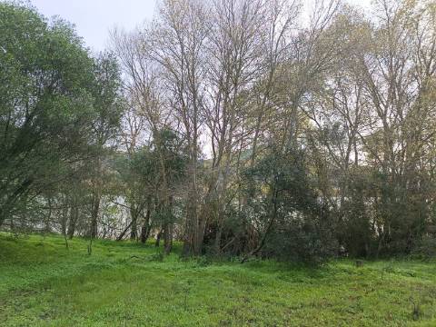 TERRENO RUSTICO COM 2.000 M2 - JUNTO AO RIO GUADIANA - EM ALCOUTIM - ALGARVE