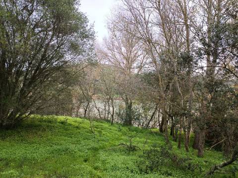 TERRENO RUSTICO COM 2.000 M2 - JUNTO AO RIO GUADIANA - EM ALCOUTIM - ALGARVE