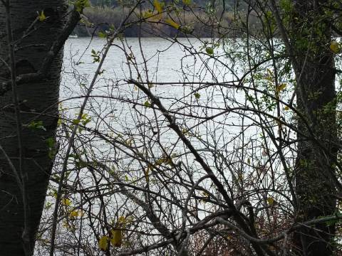 TERRENO RUSTICO COM 2.000 M2 - JUNTO AO RIO GUADIANA - EM ALCOUTIM - ALGARVE