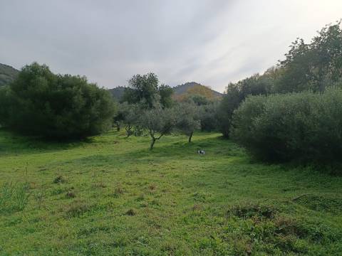 TERRENO RUSTICO COM 2.000 M2 - JUNTO AO RIO GUADIANA - EM ALCOUTIM - ALGARVE