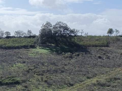 TERRENO COM 23.840 M2 - COM AGUA E LUZ - PLANO - BALURCOS - ALCOUTIM - ALGARVE