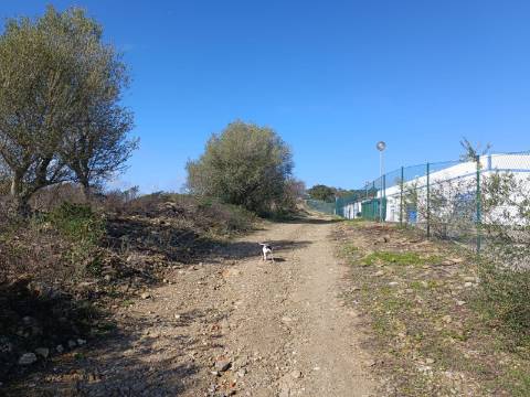 TERRENO COM 23.840 M2 - COM AGUA E LUZ - PLANO - BALURCOS - ALCOUTIM - ALGARVE