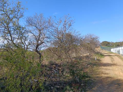 TERRENO COM 23.840 M2 - COM AGUA E LUZ - PLANO - BALURCOS - ALCOUTIM - ALGARVE