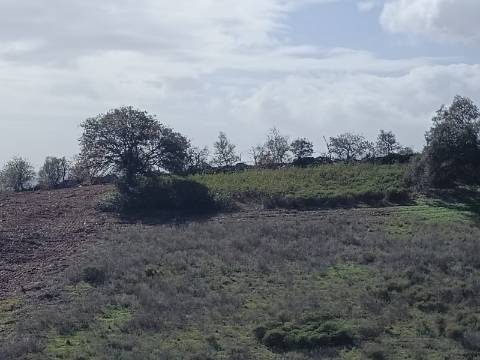 TERRENO COM 23.840 M2 - COM AGUA E LUZ - PLANO - BALURCOS - ALCOUTIM - ALGARVE