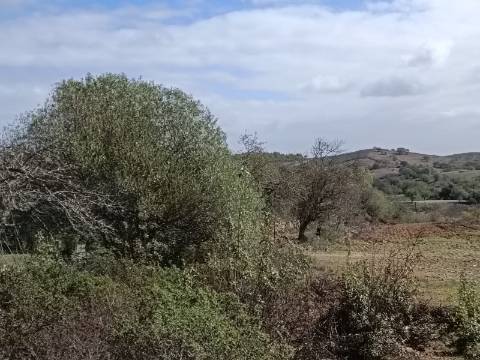 TERRENO COM 23.840 M2 - COM AGUA E LUZ - PLANO - BALURCOS - ALCOUTIM - ALGARVE