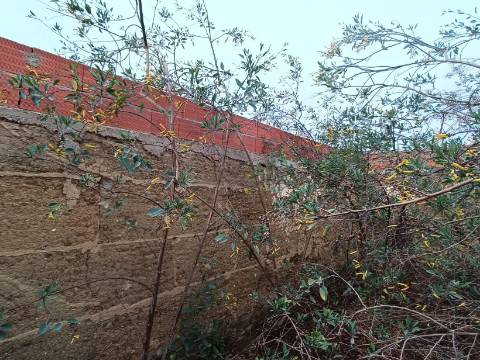 MORADIA TÍPICA ISOLADA COM 215 M2 EM ALVES - SANTANA DE CAMBAS - MÉRTOLA - BAIXO ALENTEJO