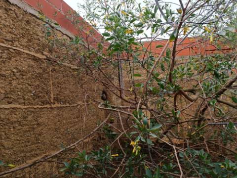 MORADIA TÍPICA ISOLADA COM 215 M2 EM ALVES - SANTANA DE CAMBAS - MÉRTOLA - BAIXO ALENTEJO