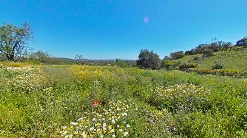 Moradia para Reconstruir - Vista Mar - Projecto em aprovação - Boliqueime - Loulé