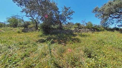 Moradia para Reconstruir - Vista Mar - Projecto em aprovação - Boliqueime - Loulé