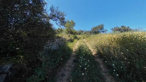 Moradia para Reconstruir - Vista Mar - Projecto em aprovação - Boliqueime - Loulé