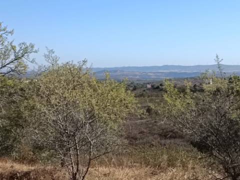 TERRENO RUSTICO COM 2.720 M2 - PLANO- MONTINHO DE BALURCOS - ALCOUTIM
