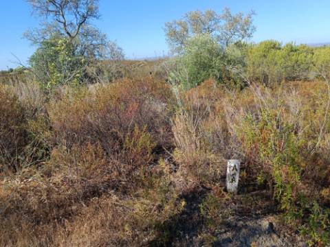 TERRENO RUSTICO COM 2.720 M2 - PLANO- MONTINHO DE BALURCOS - ALCOUTIM