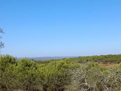 TERRENO RUSTICO COM 2.720 M2 - PLANO- MONTINHO DE BALURCOS - ALCOUTIM