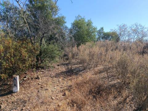 TERRENO RUSTICO COM 2.720 M2 - PLANO- MONTINHO DE BALURCOS - ALCOUTIM