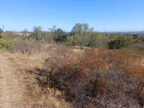 TERRENO RUSTICO COM 2.720 M2 - PLANO- MONTINHO DE BALURCOS - ALCOUTIM