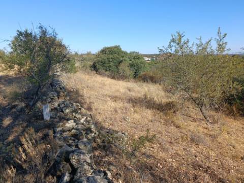 TERRENO RUSTICO COM 2.720 M2 - PLANO- MONTINHO DE BALURCOS - ALCOUTIM