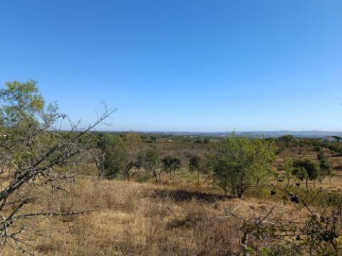 TERRENO RUSTICO COM 2.720 M2 - PLANO- MONTINHO DE BALURCOS - ALCOUTIM