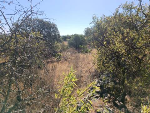 TERRENO RUSTICO COM 2.720 M2 - PLANO- MONTINHO DE BALURCOS - ALCOUTIM