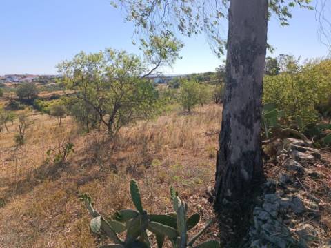 TERRENO RUSTICO COM 2.720 M2 - PLANO- MONTINHO DE BALURCOS - ALCOUTIM