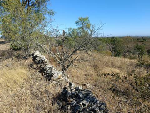 TERRENO RUSTICO COM 2.720 M2 - PLANO- MONTINHO DE BALURCOS - ALCOUTIM