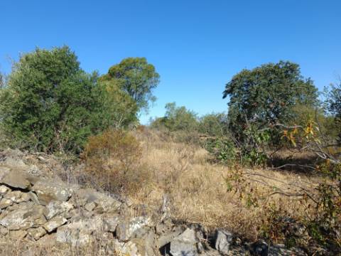 TERRENO RUSTICO COM 2.720 M2 - PLANO- MONTINHO DE BALURCOS - ALCOUTIM