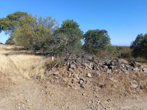 TERRENO RUSTICO COM 2.720 M2 - PLANO- MONTINHO DE BALURCOS - ALCOUTIM