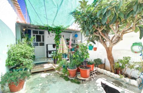 Moradia Térrea de Traça Típica a 50m da Ria Formosa em Cabanas de Tavira