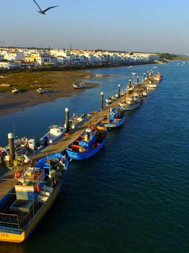 Moradia Térrea de Traça Típica a 50m da Ria Formosa em Cabanas de Tavira