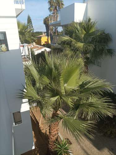 Apartamento T2+1Vista Mar em Golden Club Cabanas - Tavira