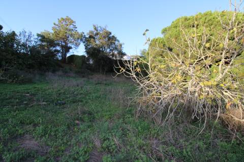 Terreno para construção